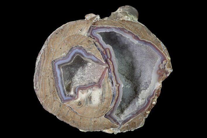 Crystal Filled Dugway Geode (Polished Half) - Utah #141308